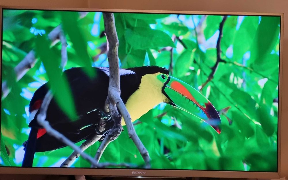 Телевизор Sony Bravia 32" (81cm) Smart Led Edge Full HD 1920 x 1080 pixels IPS,WIFI.Модел 32WD757