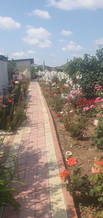 Francesca Events Garden