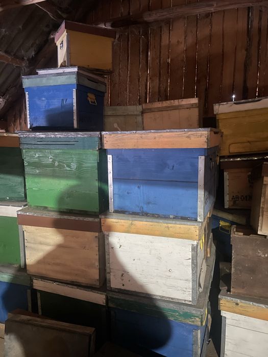 Vand lazi pentru albine