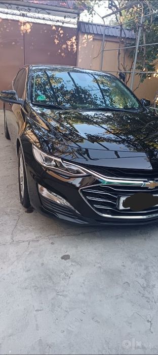 Malibu premier 2021