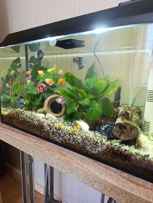 Продам новый аквариум с тумбой