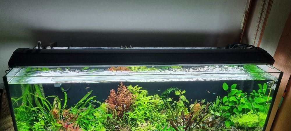 Vanzare lampa acvariu