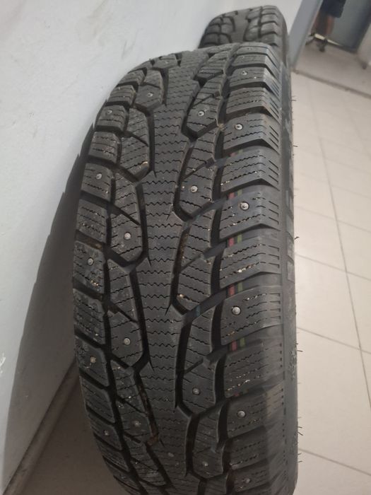 Зимный доңғалақ.