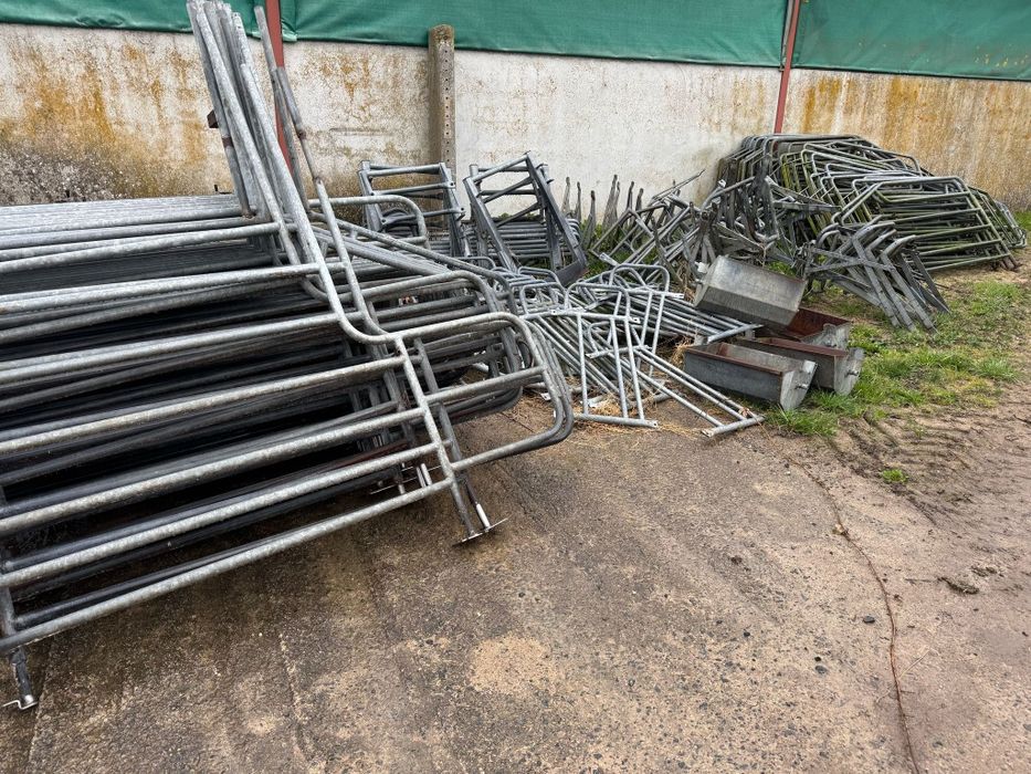 Panouri Boxe zincate  animale scroafe porci vitei zincate