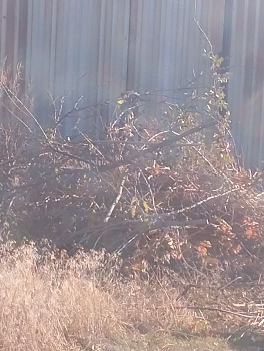 Уборка участков огородов