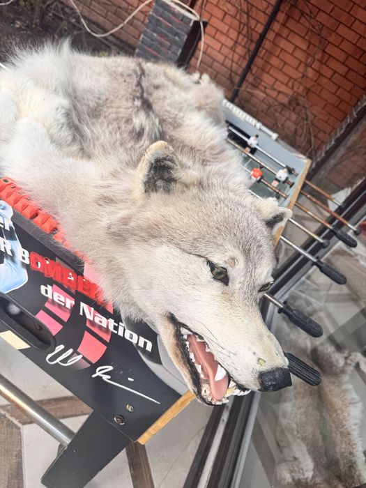 Чучело продам вместе