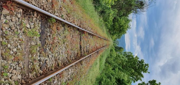Заснемане с професионален дрон сватби, балове, сгради, земи, геодезия