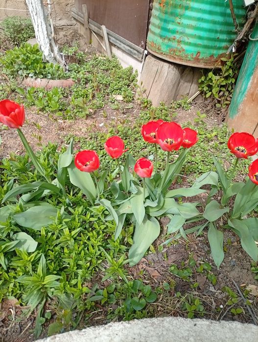 Продам излишки. Недорого