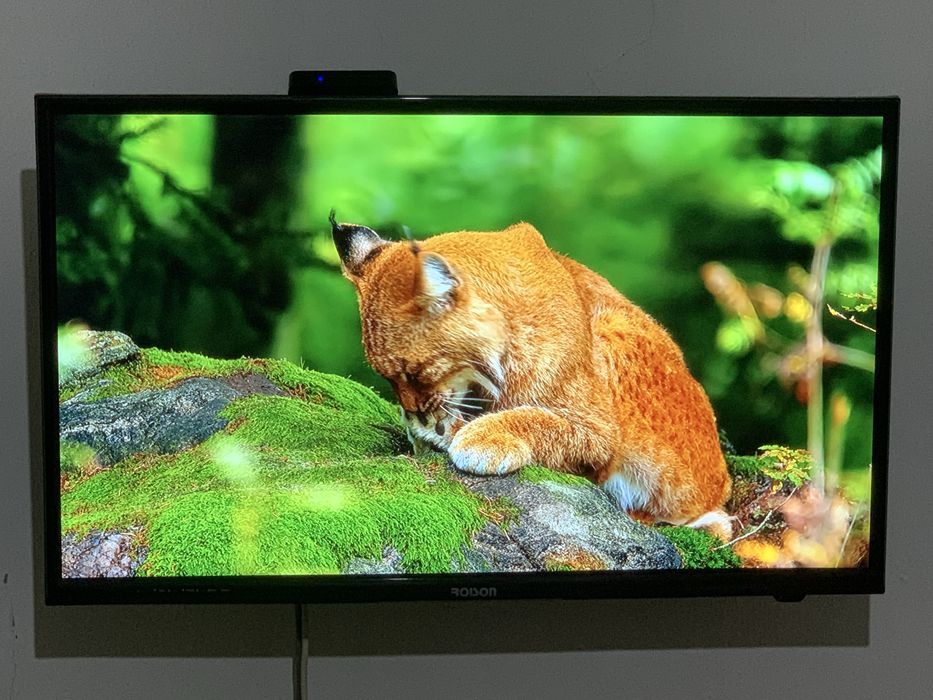 Телевизор Roison 32