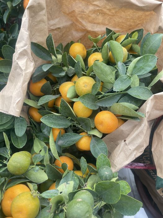 Мини мандарины  в поступлении