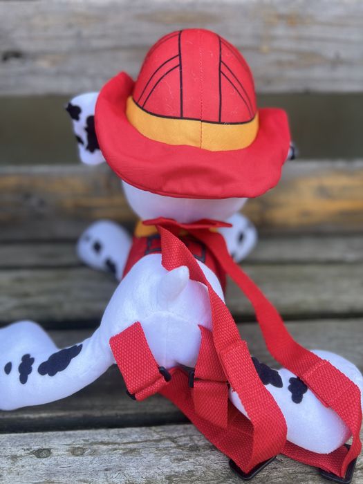 Ghiozdan Marshall Paw Control