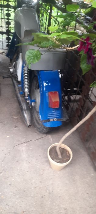 Иже без документи