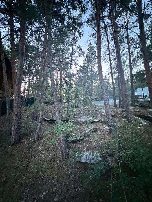 Продам дом в новой бухторме