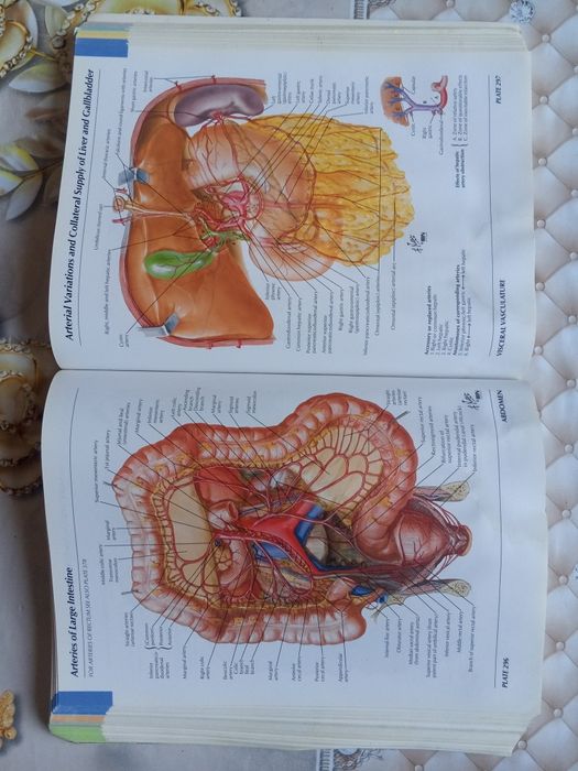 Atlas anatomiyasi sotiladi