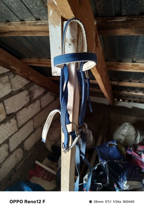 Ертокым жылуына .