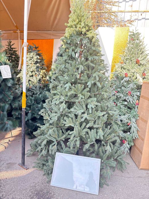 Ель искуственная елка шырша