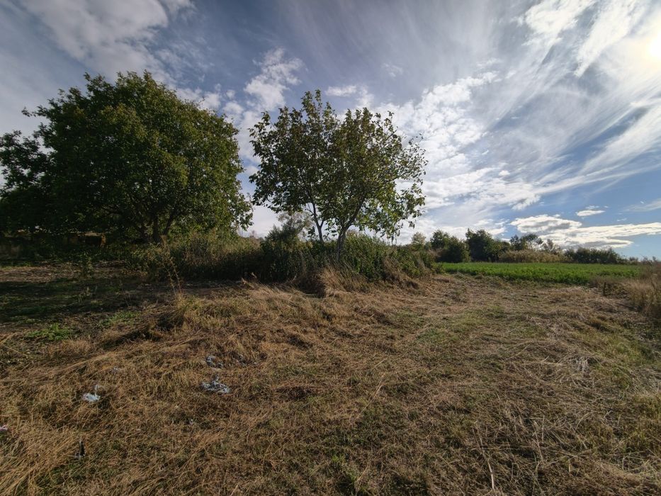 Teren Hamba, Sibiu