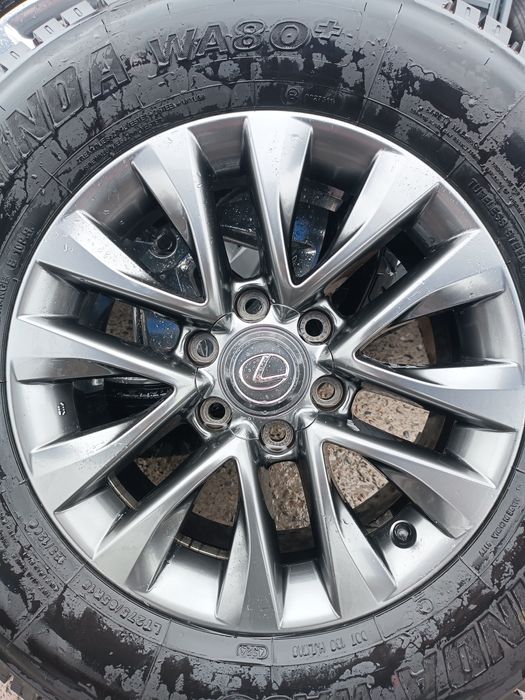 18 Лексус аргинал диска балон