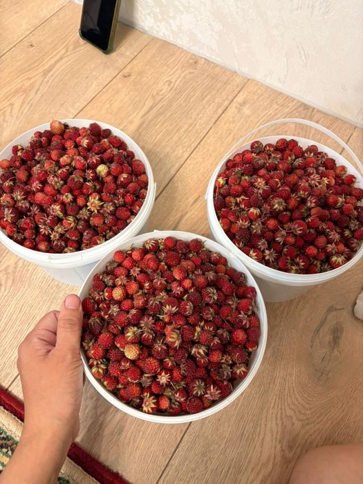 Варенье из лесной земляники