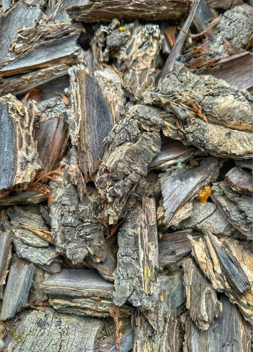 Боров мулч за градина