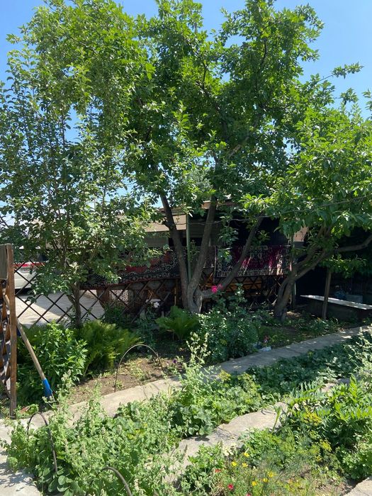 Продам коттедж .