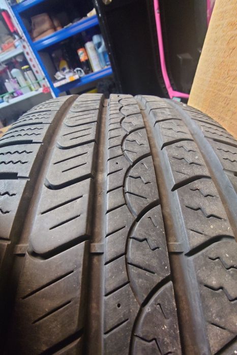 Pirelli Scorpion™ AS Plus 3