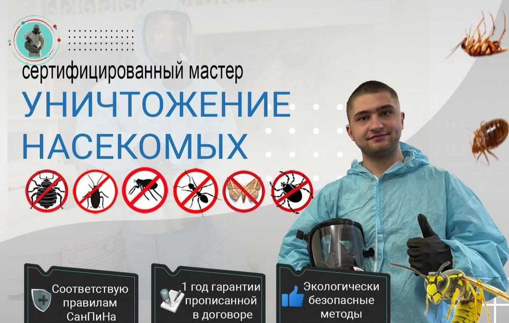 Dizinfeksiya klapa tarakan дезинфекция dezinfeksiya дезинсекция