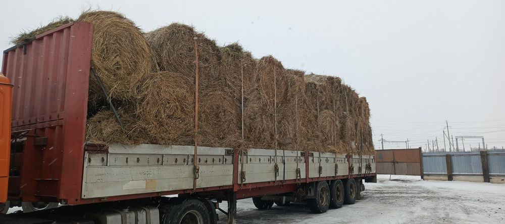 Шөп! Рулон 250кг с доставкой