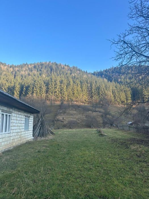 Oportunitate Teren cu Casă renovabilă Sat Secu Comuna Tasca jud Neamt