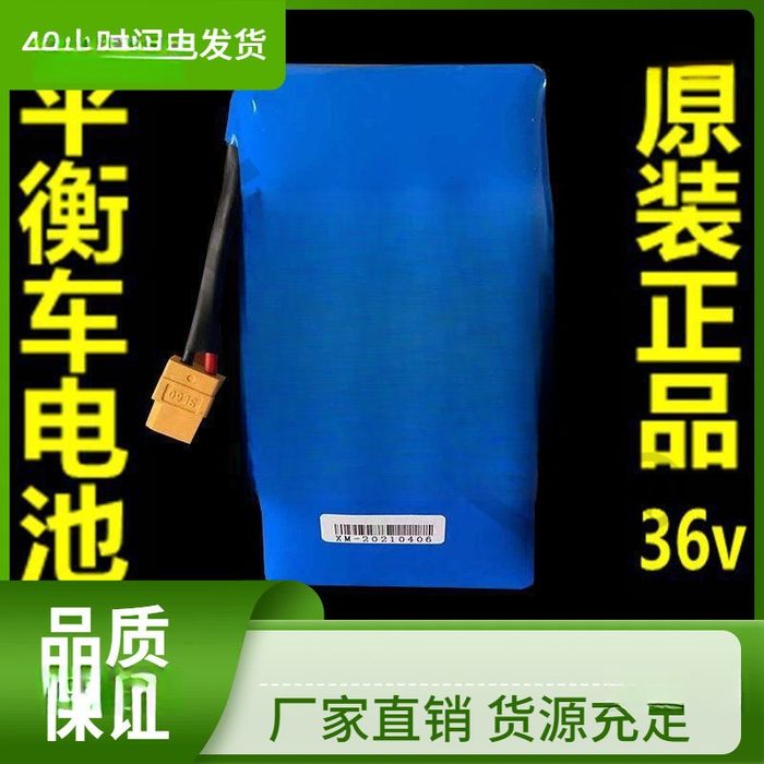 Аккумулятор для Гироскутеры ( Sigwey)