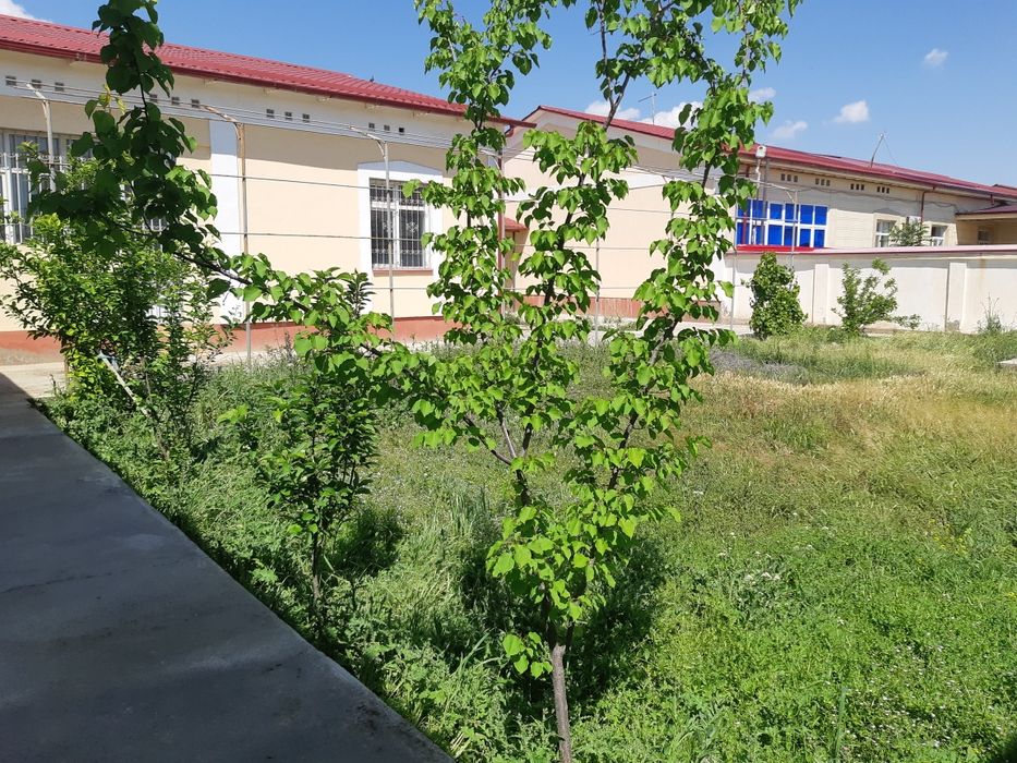 Котедж сотилади 600кв.м