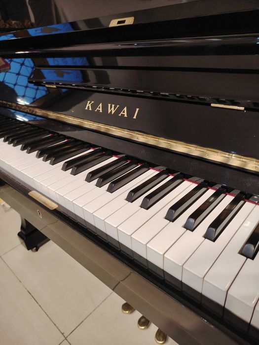 Pianina oferta de vara