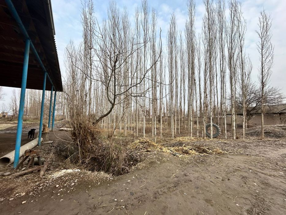 Uy sotiladi Tezdaaaa. Kelishtiramiz!