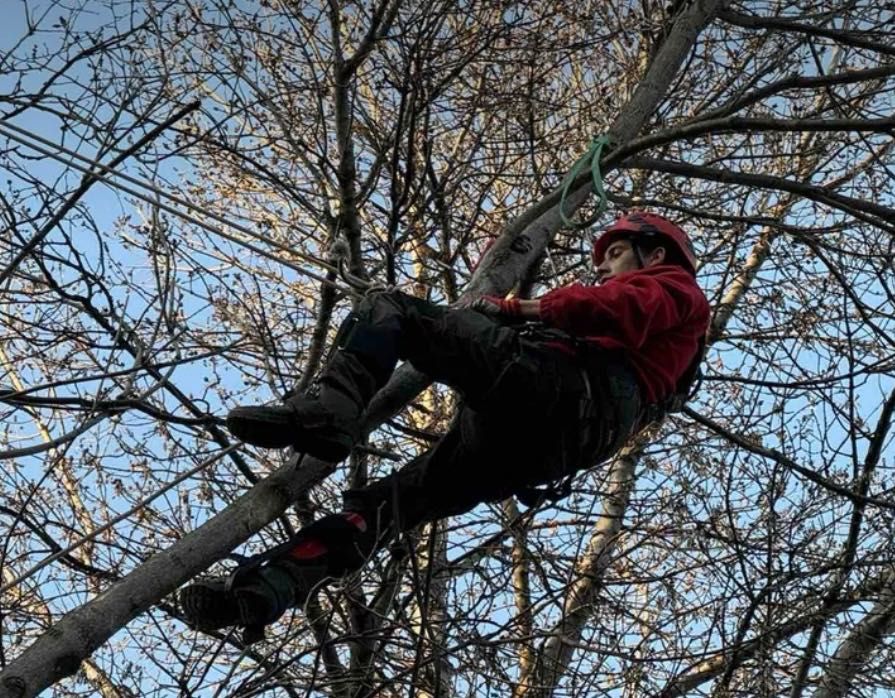 Алпинист (Арборист) 24/7