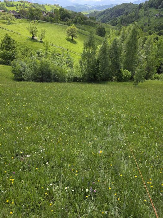 vanzare teren intravilan Sat Magura, Comuna Moieciu, Jud Brasov