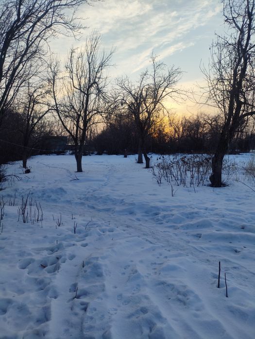 Сдам в аренду с последующим выкупом