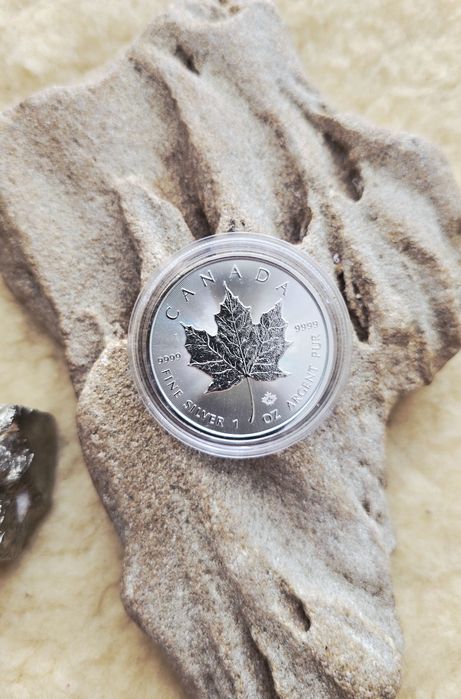 Maple Leaf Canadian 2023 -