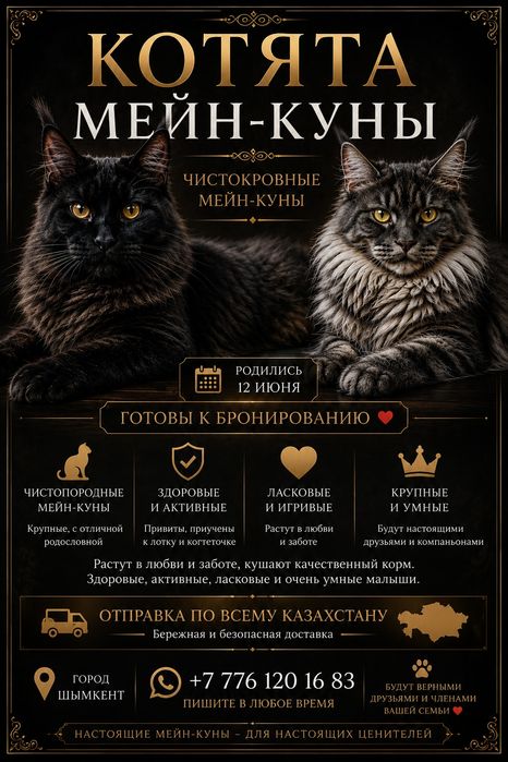 Котята Мейн - Куны