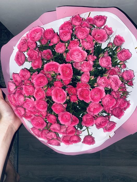 цветы 18 ветка шымкент каласы
