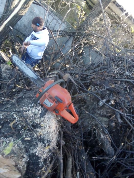 Taiere lemn si doborare