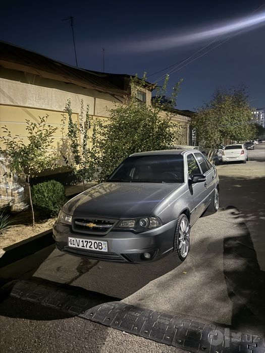 Kraska bor petolari bor xudxolasa udari yo