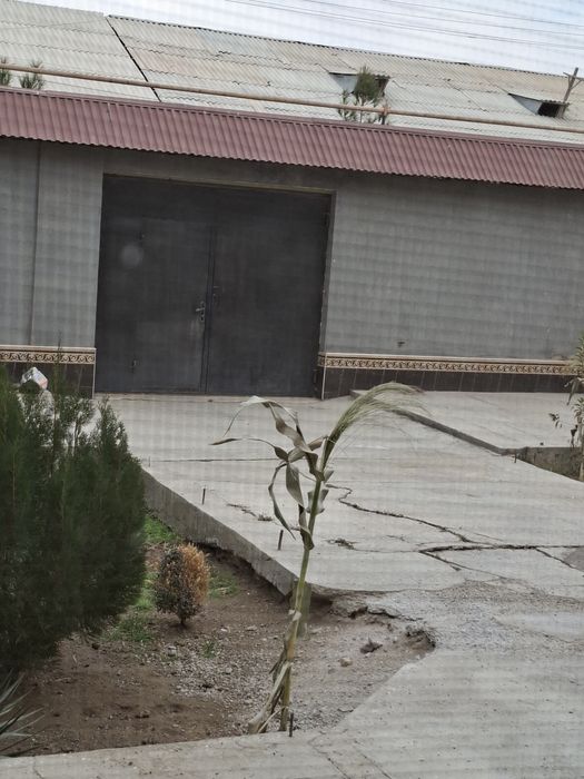 Шахримиз мехмонлари учун кунлик квартира