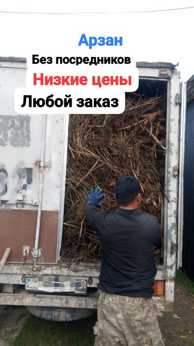 Вывоз мусора с грузчик