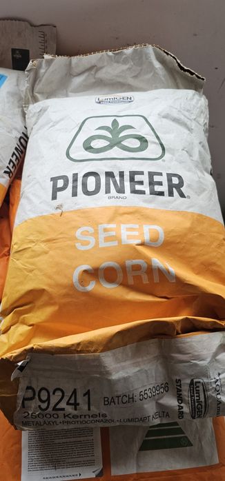 Seminte de porumb