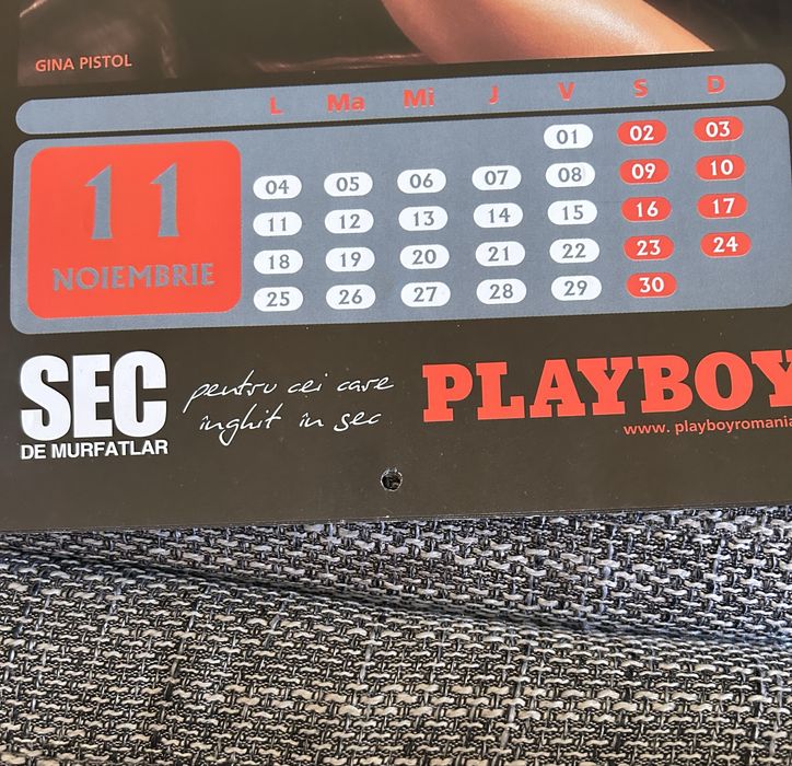 Calendar Playboy 2002 și reviste