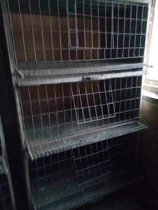 Продам клетки для кур несушек.