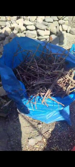 Река страпила ағаш шырпы тегін беремін