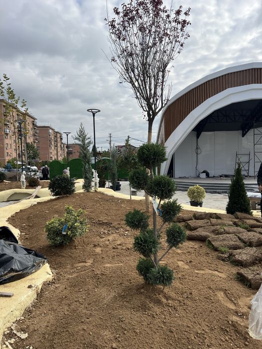 Gazon Birinchi qol Garantiyasi bilan