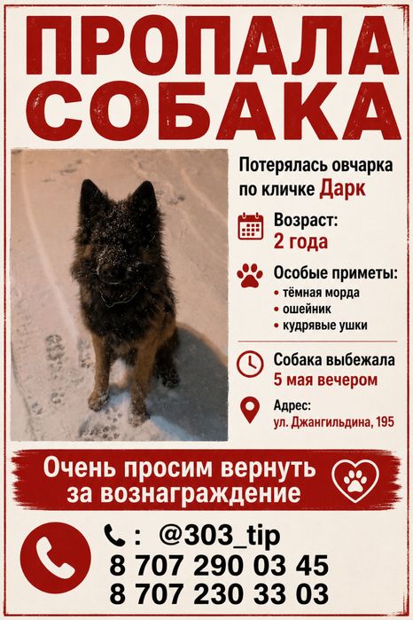 Пропала собака немецкая овчарка