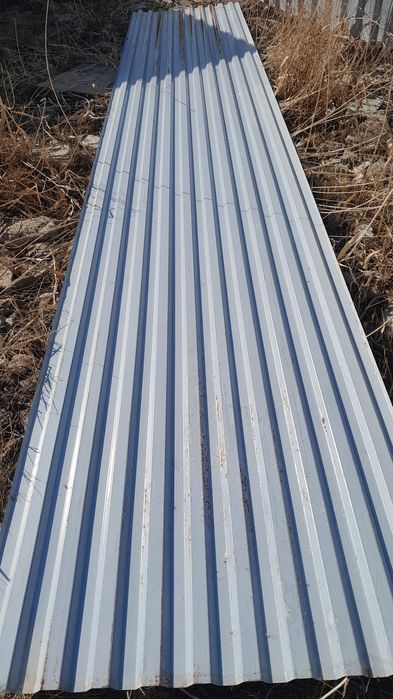 Проф лист қалың россия шарбакта тұрған